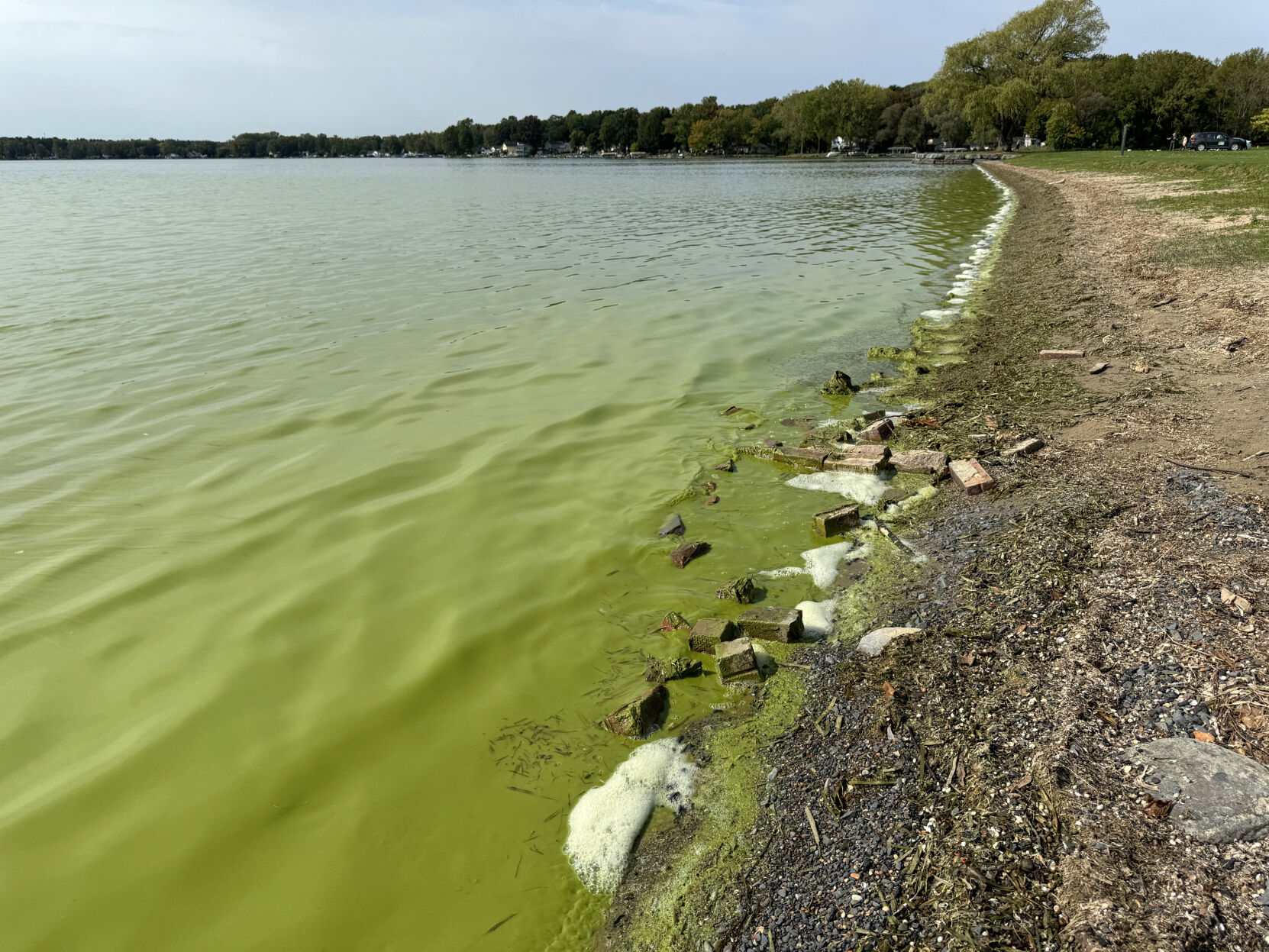 Algal Bloom Owasco 5.JPG